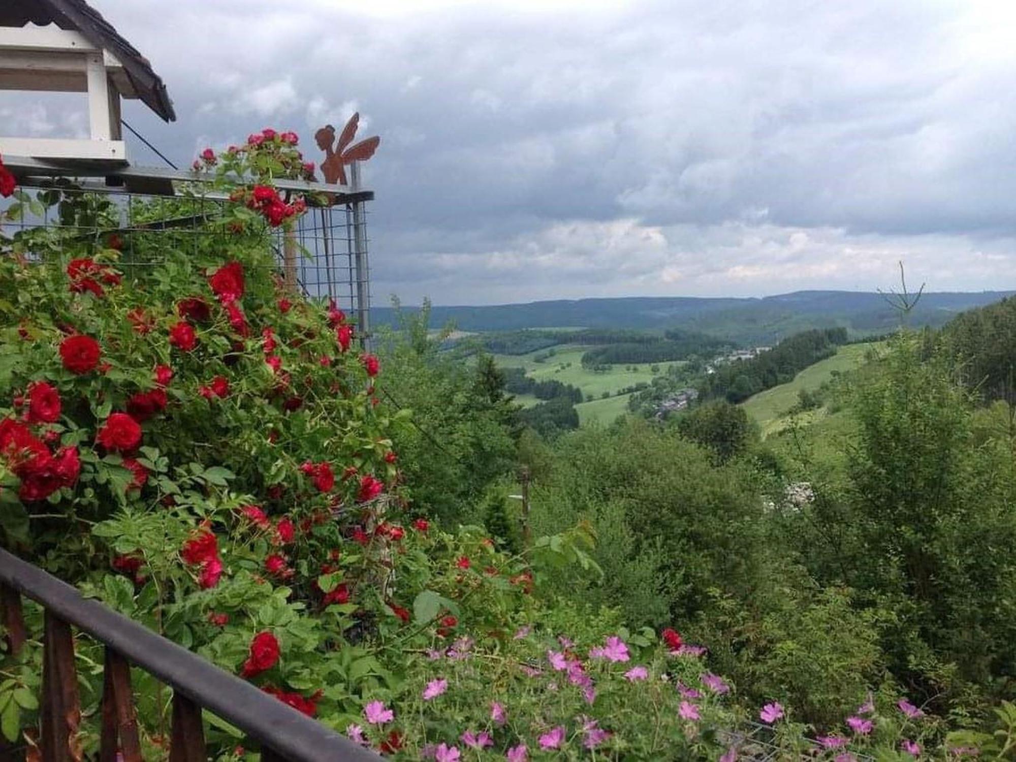 Ferienwohnungen Dorfliebe Doernberg Bestwig Exterior foto